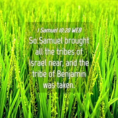 Picture 04 - 1 Samuel 10:20 WEB - So Samuel brought all the tribes of Israel near, - Bible Verse Picture