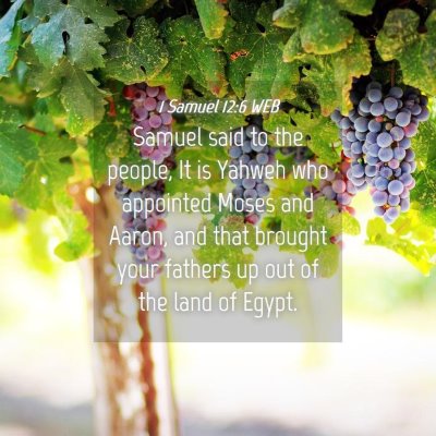 Picture 04 - 1 Samuel 12:6 WEB - Samuel said to the people, It is Yahweh who - Bible Verse Picture