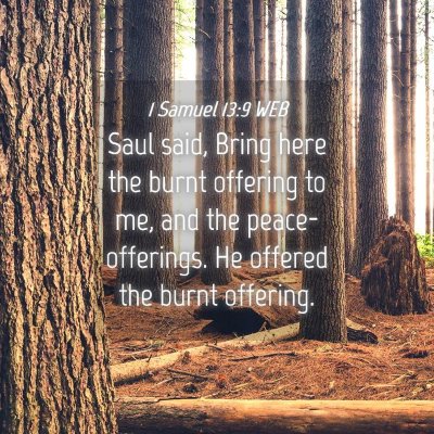 Picture 04 - 1 Samuel 13:9 WEB - Saul said, Bring here the burnt offering to me, - Bible Verse Picture