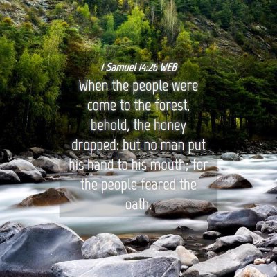 Picture 04 - 1 Samuel 14:26 WEB - When the people were come to the forest, behold, - Bible Verse Picture