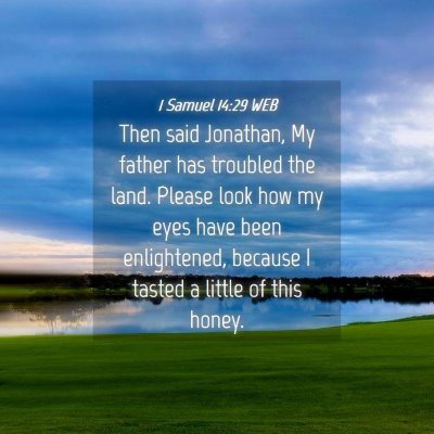 Picture 04 - 1 Samuel 14:29 WEB - Then said Jonathan, My father has troubled the - Bible Verse Picture