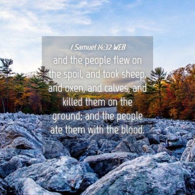 Picture 04 - 1 Samuel 14:32 WEB - and the people flew on the spoil, and took sheep, - Bible Verse Picture