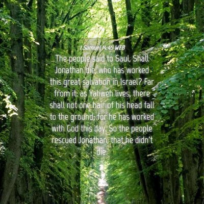 Picture 04 - 1 Samuel 14:45 WEB - The people said to Saul, Shall Jonathan die, who - Bible Verse Picture