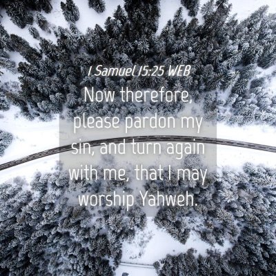 Picture 04 - 1 Samuel 15:25 WEB - Now therefore, please pardon my sin, and turn - Bible Verse Picture