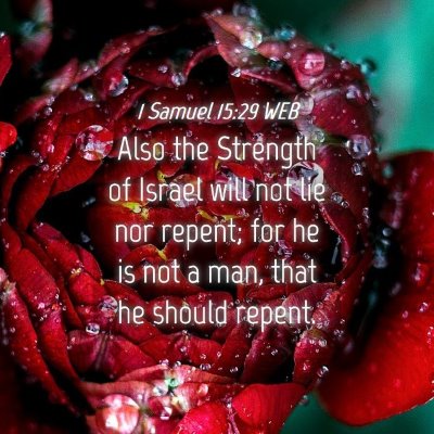 Picture 04 - 1 Samuel 15:29 WEB - Also the Strength of Israel will not lie nor - Bible Verse Picture