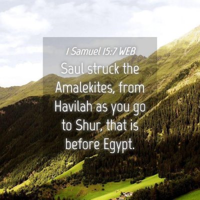Picture 04 - 1 Samuel 15:7 WEB - Saul struck the Amalekites, from Havilah as you - Bible Verse Picture