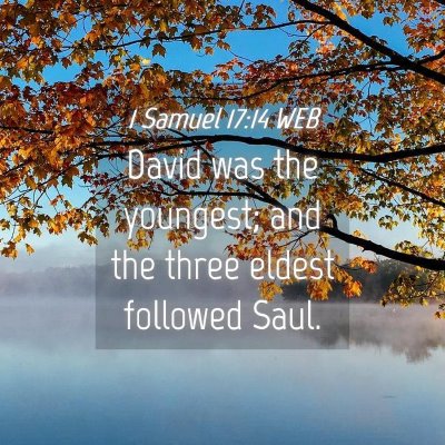 Picture 04 - 1 Samuel 17:14 WEB - David was the youngest; and the three eldest - Bible Verse Picture