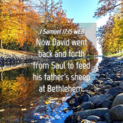 Picture 04 - 1 Samuel 17:15 WEB - Now David went back and forth from Saul to feed - Bible Verse Picture