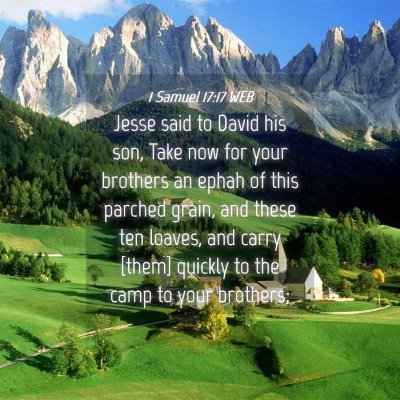 Picture 04 - 1 Samuel 17:17 WEB - Jesse said to David his son, Take now for your - Bible Verse Picture