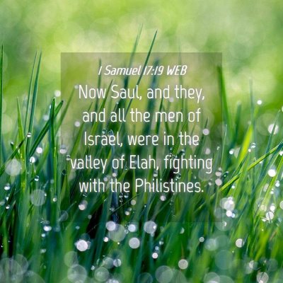 Picture 04 - 1 Samuel 17:19 WEB - Now Saul, and they, and all the men of Israel, - Bible Verse Picture