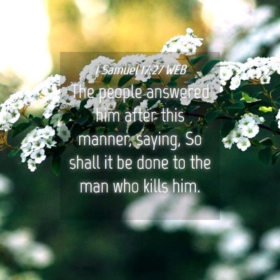 Picture 04 - 1 Samuel 17:27 WEB - The people answered him after this manner, - Bible Verse Picture