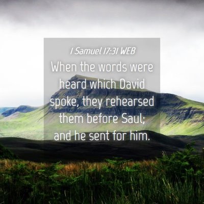 Picture 04 - 1 Samuel 17:31 WEB - When the words were heard which David spoke, they - Bible Verse Picture
