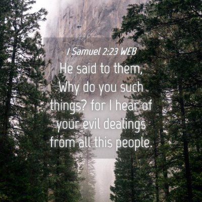 Picture 04 - 1 Samuel 2:23 WEB - He said to them, Why do you such things? for I - Bible Verse Picture