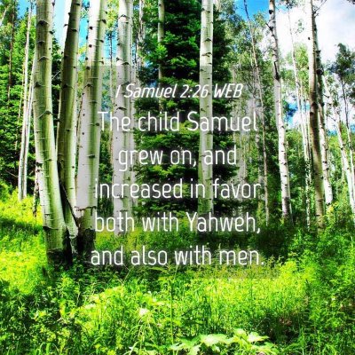 Picture 04 - 1 Samuel 2:26 WEB - The child Samuel grew on, and increased in favor - Bible Verse Picture