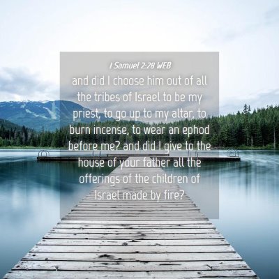 Picture 04 - 1 Samuel 2:28 WEB - and did I choose him out of all the tribes of - Bible Verse Picture