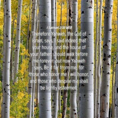 Picture 04 - 1 Samuel 2:30 WEB - Therefore Yahweh, the God of Israel, says, I said - Bible Verse Picture