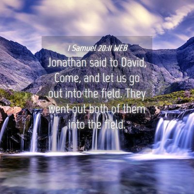 Picture 04 - 1 Samuel 20:11 WEB - Jonathan said to David, Come, and let us go out - Bible Verse Picture