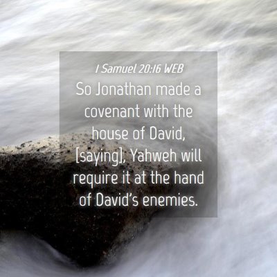 Picture 04 - 1 Samuel 20:16 WEB - So Jonathan made a covenant with the house of - Bible Verse Picture