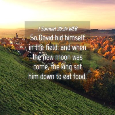 Picture 04 - 1 Samuel 20:24 WEB - So David hid himself in the field: and when the - Bible Verse Picture