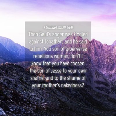 Picture 04 - 1 Samuel 20:30 WEB - Then Saul's anger was kindled against Jonathan, - Bible Verse Picture