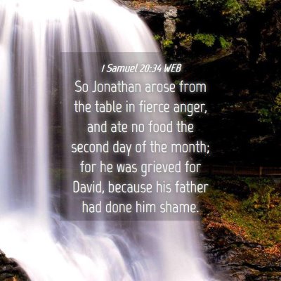 Picture 04 - 1 Samuel 20:34 WEB - So Jonathan arose from the table in fierce anger, - Bible Verse Picture