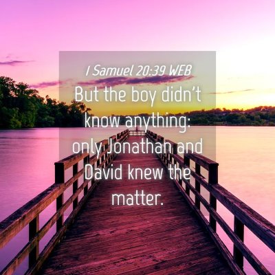 Picture 04 - 1 Samuel 20:39 WEB - But the boy didn't know anything: only Jonathan - Bible Verse Picture