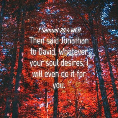 Picture 04 - 1 Samuel 20:4 WEB - Then said Jonathan to David, Whatever your soul - Bible Verse Picture