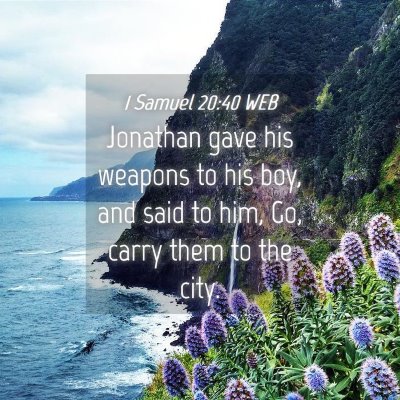 Picture 04 - 1 Samuel 20:40 WEB - Jonathan gave his weapons to his boy, and said to - Bible Verse Picture