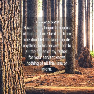 Picture 04 - 1 Samuel 22:15 WEB - Have I today begun to inquire of God for him? be - Bible Verse Picture