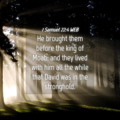 Picture 04 - 1 Samuel 22:4 WEB - He brought them before the king of Moab: and they - Bible Verse Picture