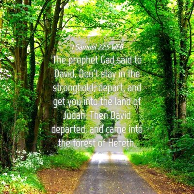 Picture 04 - 1 Samuel 22:5 WEB - The prophet Gad said to David, Don't stay in the - Bible Verse Picture