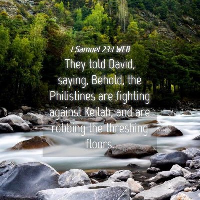 Picture 04 - 1 Samuel 23:1 WEB - They told David, saying, Behold, the Philistines - Bible Verse Picture