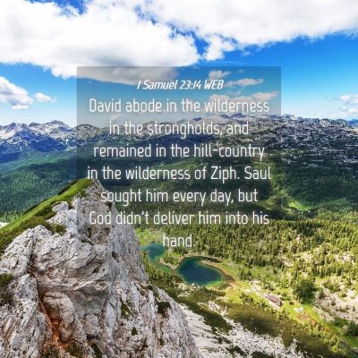 Picture 04 - 1 Samuel 23:14 WEB - David abode in the wilderness in the strongholds, - Bible Verse Picture