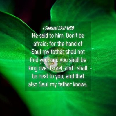 Picture 04 - 1 Samuel 23:17 WEB - He said to him, Don't be afraid; for the hand of - Bible Verse Picture