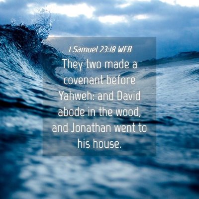 Picture 04 - 1 Samuel 23:18 WEB - They two made a covenant before Yahweh: and David - Bible Verse Picture