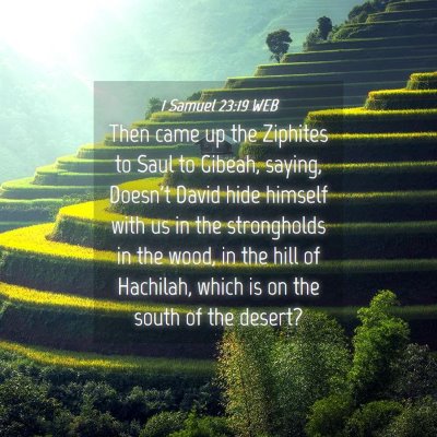 Picture 04 - 1 Samuel 23:19 WEB - Then came up the Ziphites to Saul to Gibeah, - Bible Verse Picture