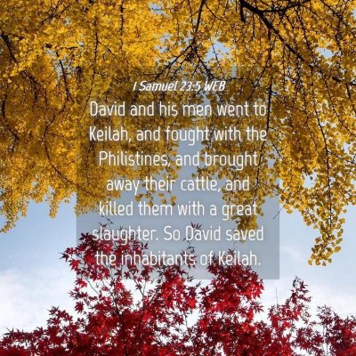 Picture 04 - 1 Samuel 23:5 WEB - David and his men went to Keilah, and fought with - Bible Verse Picture