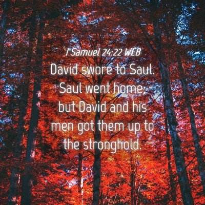 Picture 04 - 1 Samuel 24:22 WEB - David swore to Saul. Saul went home; but David - Bible Verse Picture