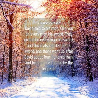 Picture 04 - 1 Samuel 25:13 WEB - David said to his men, Gird you on every man his - Bible Verse Picture