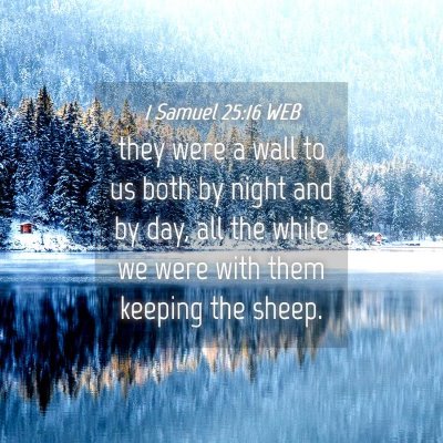 Picture 04 - 1 Samuel 25:16 WEB - they were a wall to us both by night and by day, - Bible Verse Picture