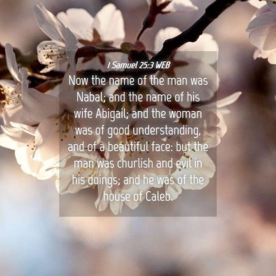 Picture 04 - 1 Samuel 25:3 WEB - Now the name of the man was Nabal; and the name - Bible Verse Picture