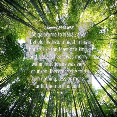 Picture 04 - 1 Samuel 25:36 WEB - Abigail came to Nabal; and, behold, he held a - Bible Verse Picture