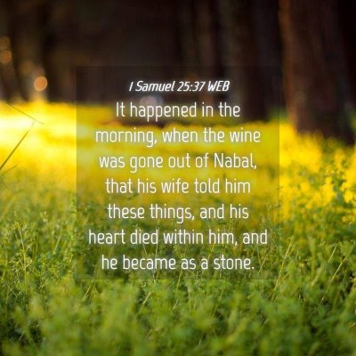 Picture 04 - 1 Samuel 25:37 WEB - It happened in the morning, when the wine was - Bible Verse Picture