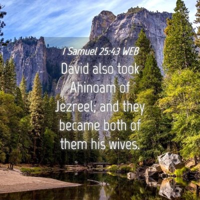Picture 04 - 1 Samuel 25:43 WEB - David also took Ahinoam of Jezreel; and they - Bible Verse Picture