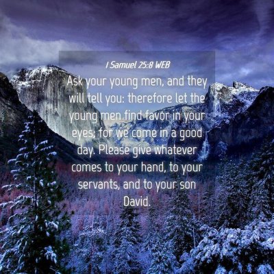 Picture 04 - 1 Samuel 25:8 WEB - Ask your young men, and they will tell you: - Bible Verse Picture