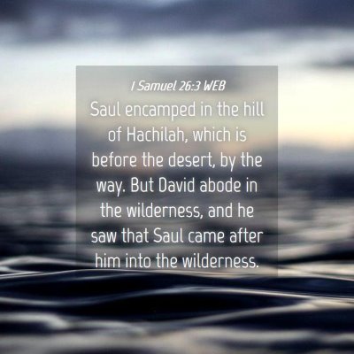 Picture 04 - 1 Samuel 26:3 WEB - Saul encamped in the hill of Hachilah, which is - Bible Verse Picture