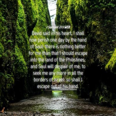Picture 04 - 1 Samuel 27:1 WEB - David said in his heart, I shall now perish one - Bible Verse Picture