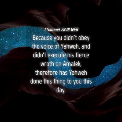 Picture 04 - 1 Samuel 28:18 WEB - Because you didn't obey the voice of Yahweh, and - Bible Verse Picture