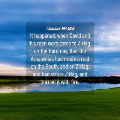 Picture 04 - 1 Samuel 30:1 WEB - It happened, when David and his men were come to - Bible Verse Picture
