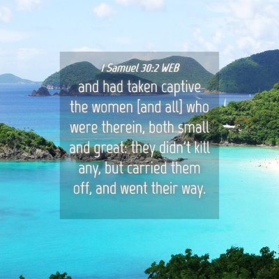 Picture 04 - 1 Samuel 30:2 WEB - and had taken captive the women [and all] who - Bible Verse Picture